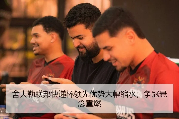 she-fu-lei-lian-bang-kuai-di-bei-ling-xian-you-shi-da-fu-suo-shui-zheng-guan-xuan-nian-zhong-ran-2-646.jpg